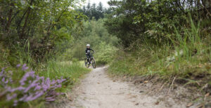 Sjov og skov for familier i Slettestrand